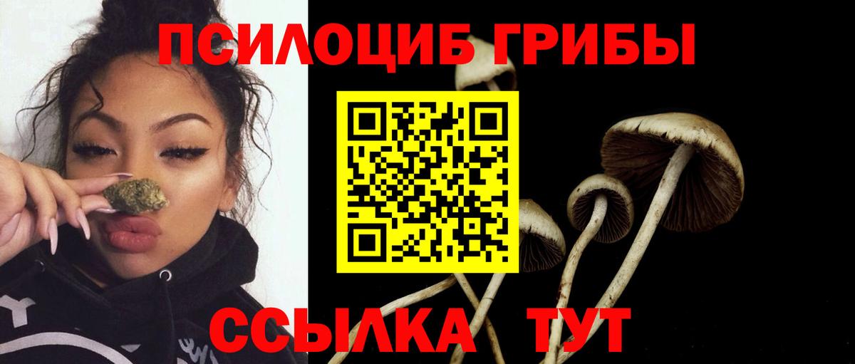 Галлюциногенные грибы Psilocybine cubensis Оренбург